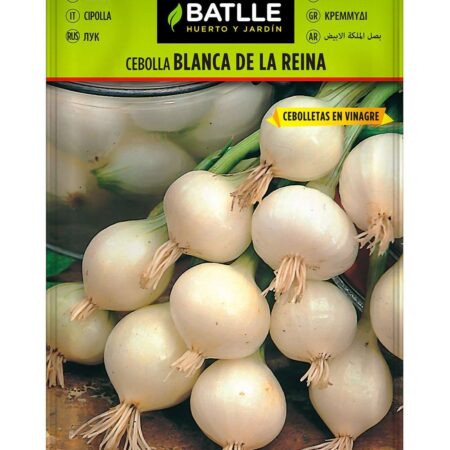 Semillas cebolla blanca